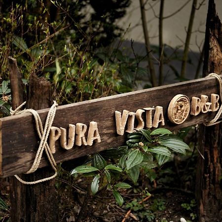 B&B Pura Vista Zandhoven Εξωτερικό φωτογραφία